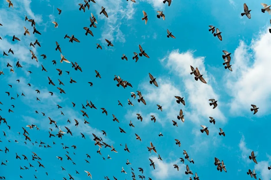 Cloud Migration Services: Complete Guide for Businesses